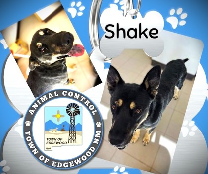 Photo of Shake