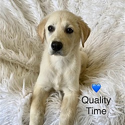 Thumbnail photo of Quality Time #1