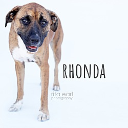 Thumbnail photo of Rhonda #2