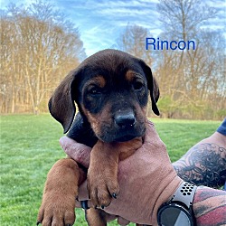 Thumbnail photo of Rincon #2