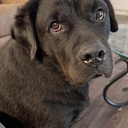 Photo of Charlie