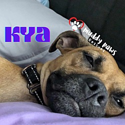 Thumbnail photo of Kya #1