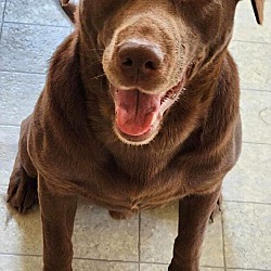 Photo of Titan