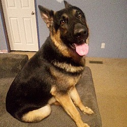 Photo of Hayes