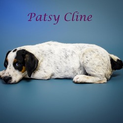 Thumbnail photo of Patsy Cline D24-142 #3