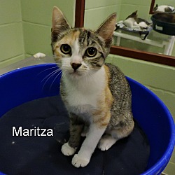 Thumbnail photo of Maritza #1