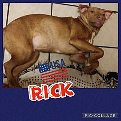 Photo of RICK