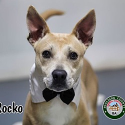 Thumbnail photo of 24-06-2044 Rocko #2