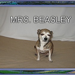 Thumbnail photo of MRS BEASLEY #1