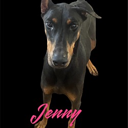Photo of Jenny