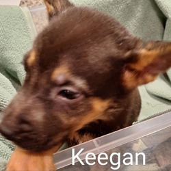 Photo of Keegan