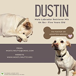 Thumbnail photo of Dustin #2