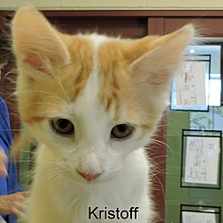 Thumbnail photo of Kristoff #1