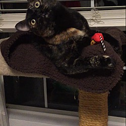 Thumbnail photo of Glam (Self-sufficient love bug #3