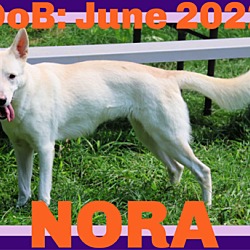 Photo of NORA