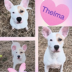 Photo of Thelma