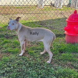 Thumbnail photo of Kelly #4