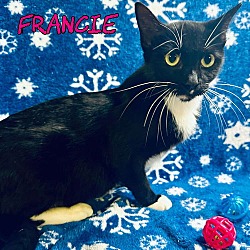 Thumbnail photo of Francie #1