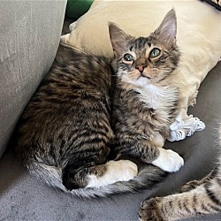 Photo of Fabio