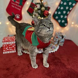 Thumbnail photo of Lizzie #4