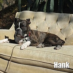 Thumbnail photo of Hank #3