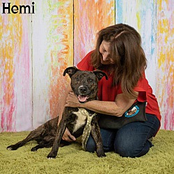 Thumbnail photo of HEMI #4