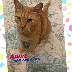 Thumbnail photo of Annie #1