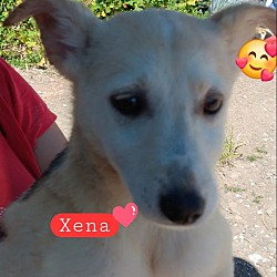 Photo of Xena