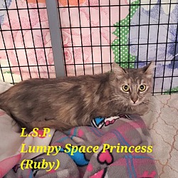 Thumbnail photo of Lumpy Space Princess (Ruby) #2