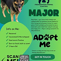 adopt a pet