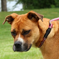 Thumbnail photo of Donna~adopted! #3