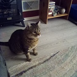 Photo of Squirt