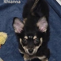 Photo of Rhianna