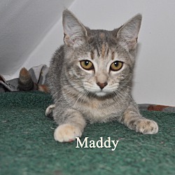 Photo of Maddy