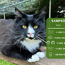 Photo of Sampson