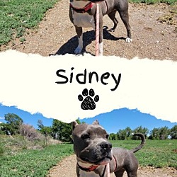 Photo of Sidney