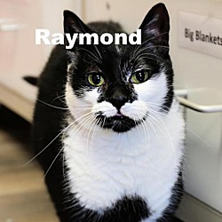 Photo of Raymond 220208