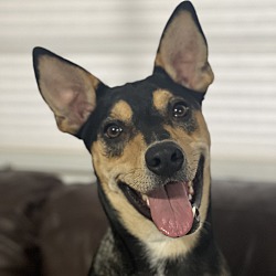 Photo of Max