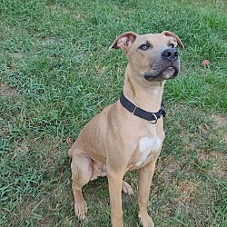 Photo of Sokka