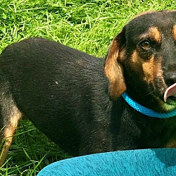 Photo of Ranger