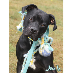 Thumbnail photo of Jack #1