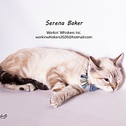 Photo of SERENA BAKER