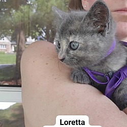 Thumbnail photo of LORETTA #4