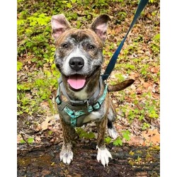 Photo of OAKLEY