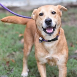 Photo of Chevy