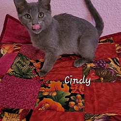 Thumbnail photo of CINDY GRADY #2