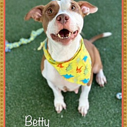 Thumbnail photo of BETTY - see video #3