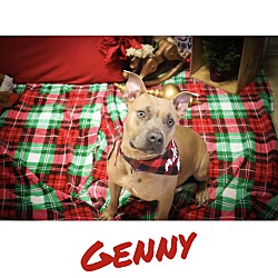 Thumbnail photo of Genny #3