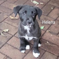 Photo of Helena