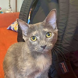 Photo of Bean